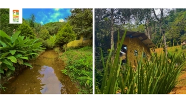 Sitio Semear | Marsilac | RP-UPCR-0024